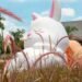 Inflatables